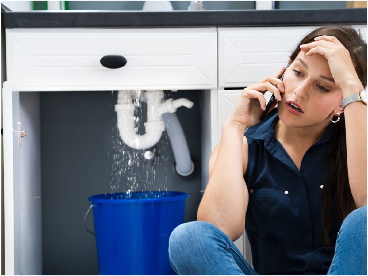 7 Signs of a Hidden Water Leak (And Why You Need a Plumber to Find It)
